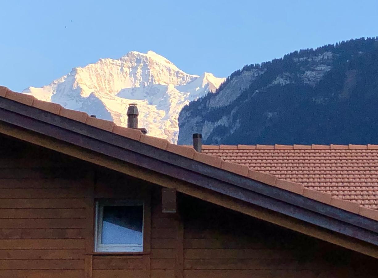 S&P Mountain View Apartment 1 Wilderswil Bagian luar foto