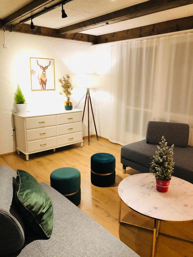 S&P Mountain View Apartment 1 Wilderswil Bagian luar foto