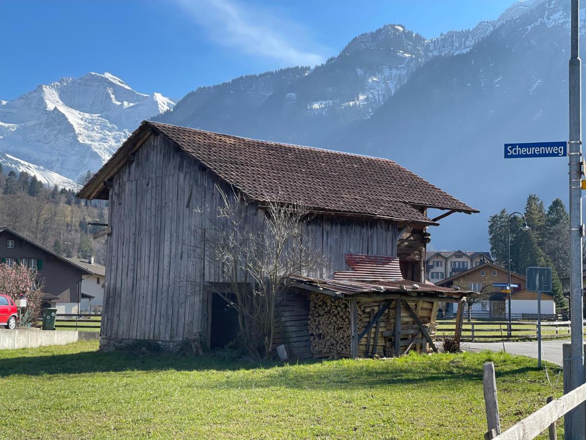 S&P Mountain View Apartment 1 Wilderswil Bagian luar foto