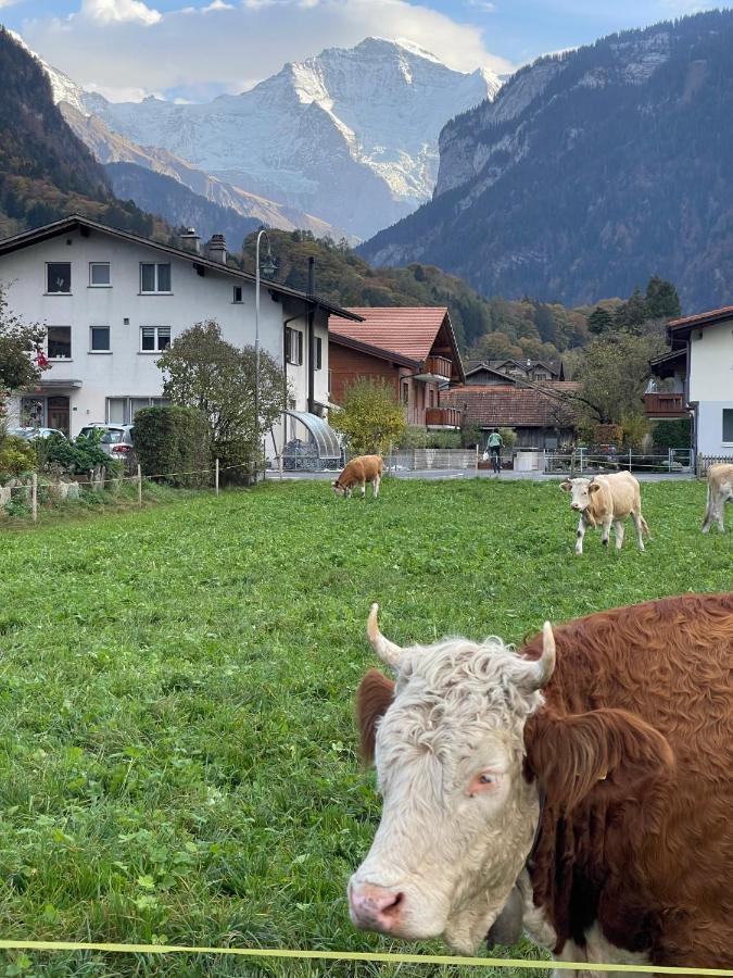 S&P Mountain View Apartment 1 Wilderswil Bagian luar foto